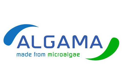 Algama-1.jpg